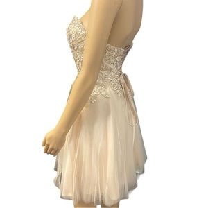 BOU BOU EMBELLISHED TUBE TULLE GOWN